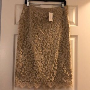 Banana Republic Champagne Lace Skirt